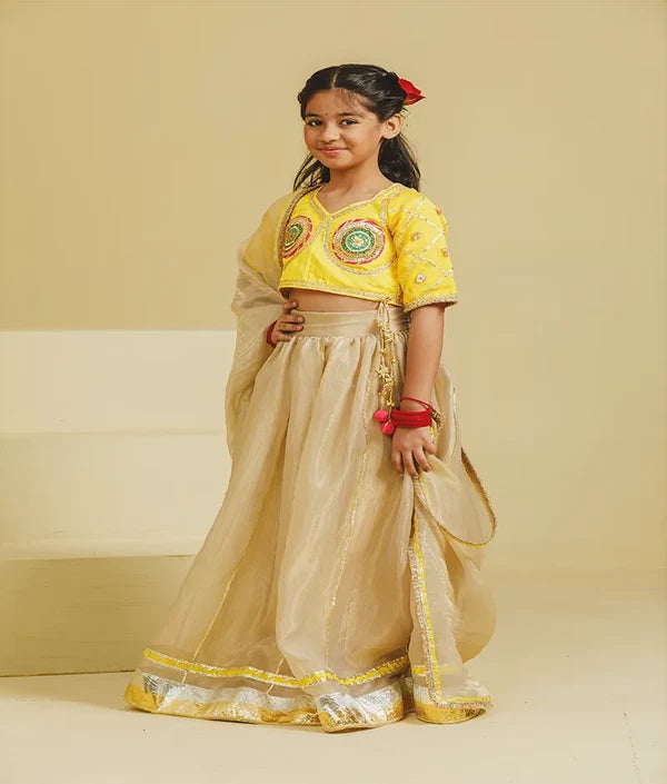 Aangi Yellow Work Choli with Lehenga Set
