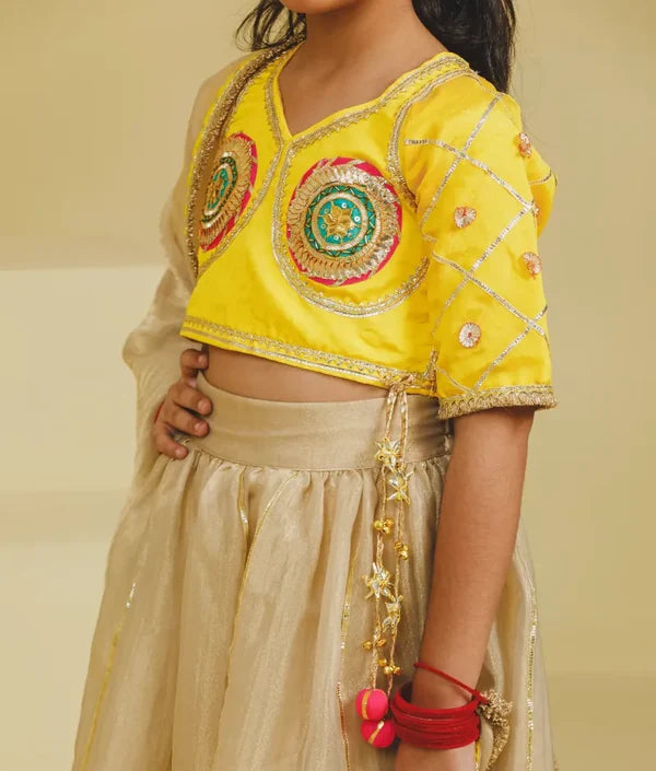 Aangi Yellow Work Choli with Lehenga Set