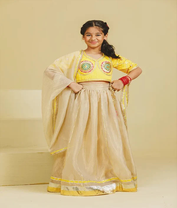 Aangi Yellow Work Choli with Lehenga Set