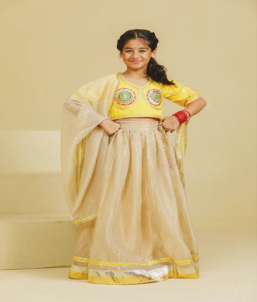 Aangi Yellow Work Choli with Lehenga Set
