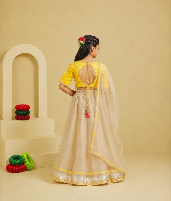 Aangi Yellow Work Choli with Lehenga Set