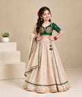 Aangi Bottle Green Work Choli with Lehenga Set
