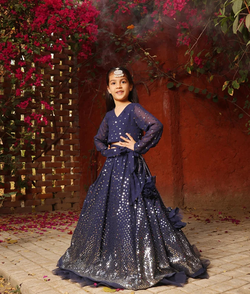 BLUE EMBROIDERED LEHENGA CHOLI SET