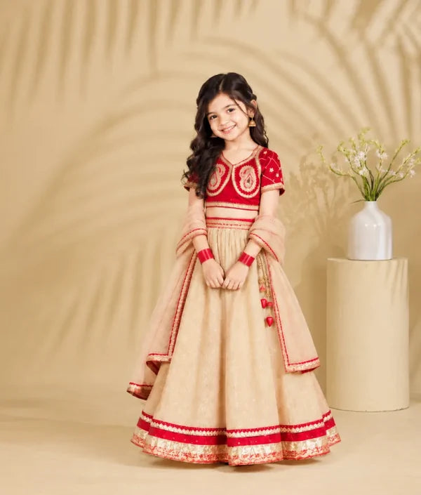 Aangi Red Work Choli with Lehenga Set