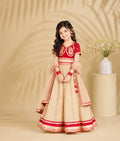 Aangi Red Work Choli with Lehenga Set