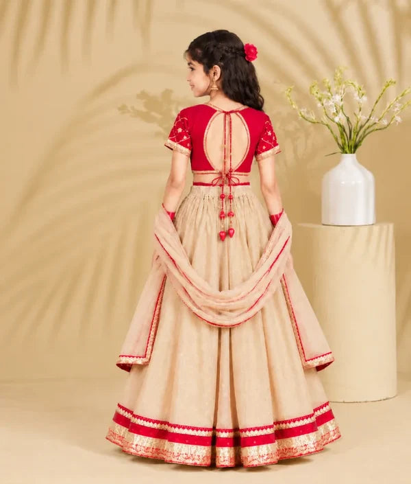 Aangi Red Work Choli with Lehenga Set